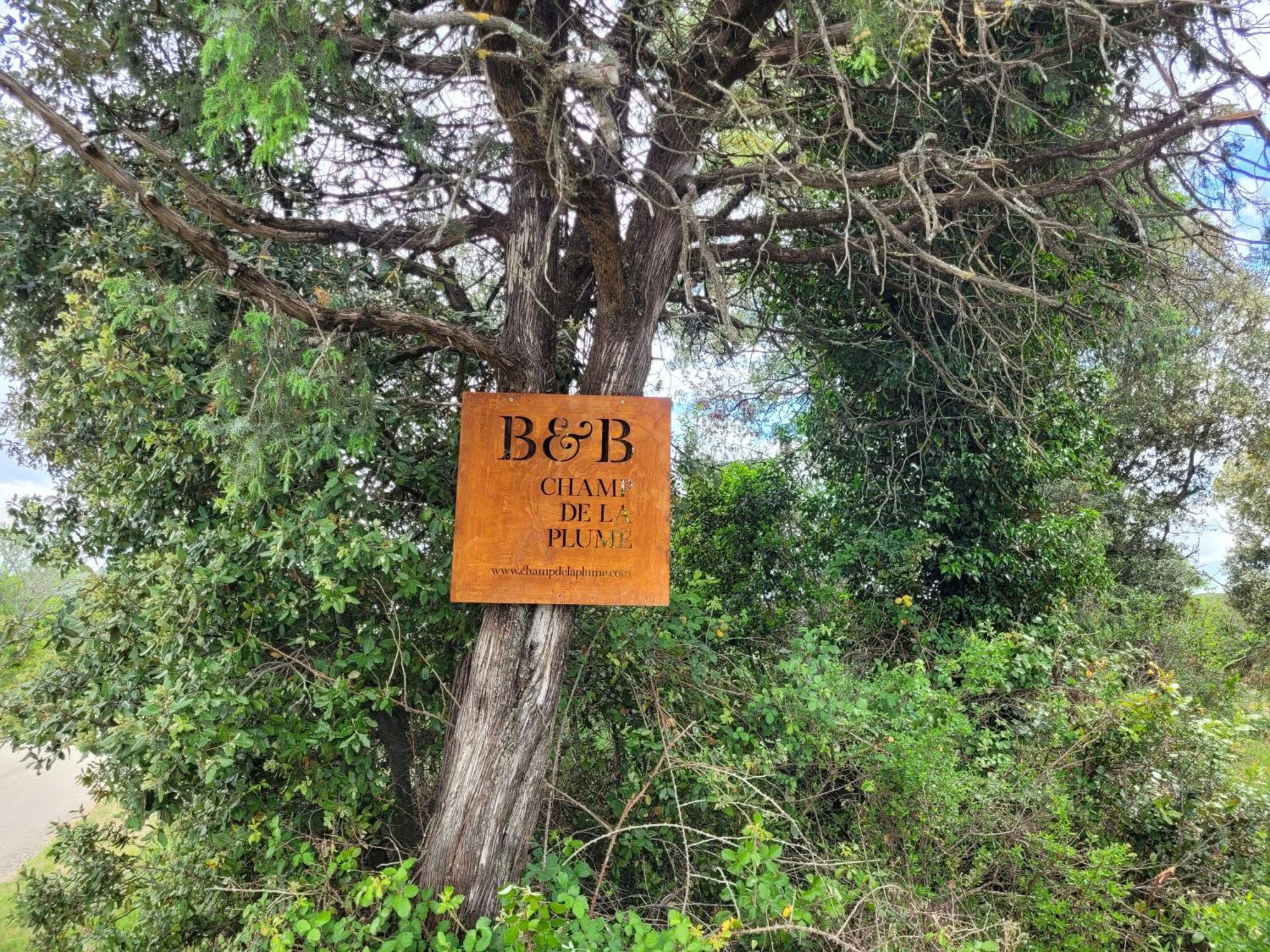 B&B Champdelaplume Barjac  Esterno foto
